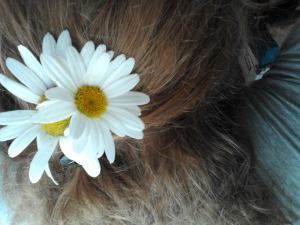 daisys for daisy