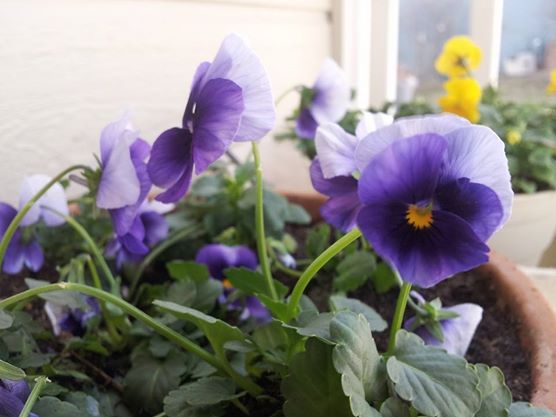 1004847_10201690944542629_1736338557_n