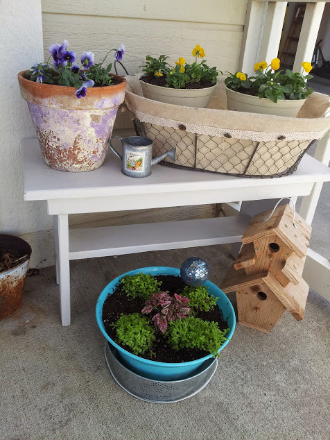 Okay, sure I'll have to take them inside when it snows or gets really cold (this weekend) but for one glorious 70 degree day- it was spring and, damn it! I was going to get my hands in some dirt and plant something.